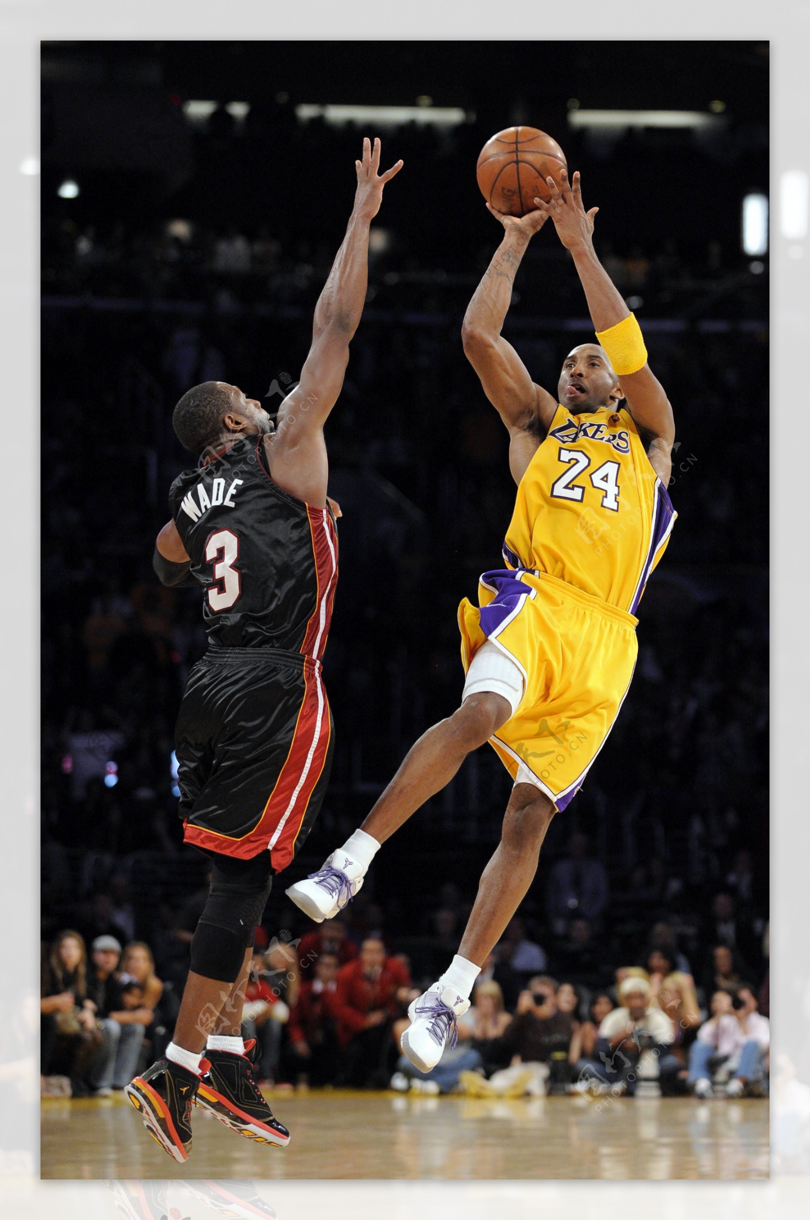 【壁纸】——拉菲尼亚 & 德容（拉菲尼亚与德容壁纸精选）