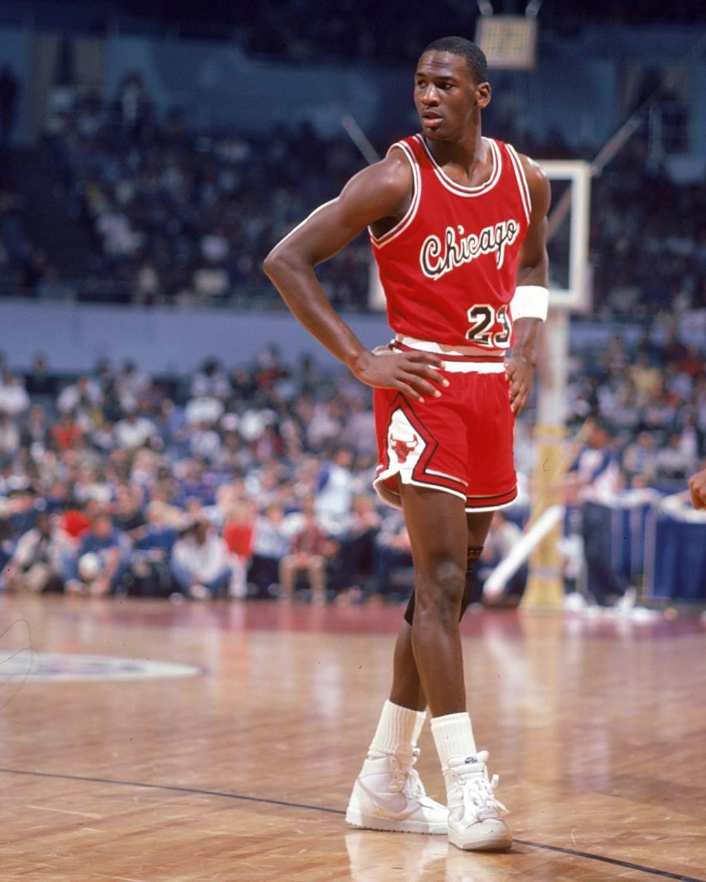 在多支季后 在多支季后